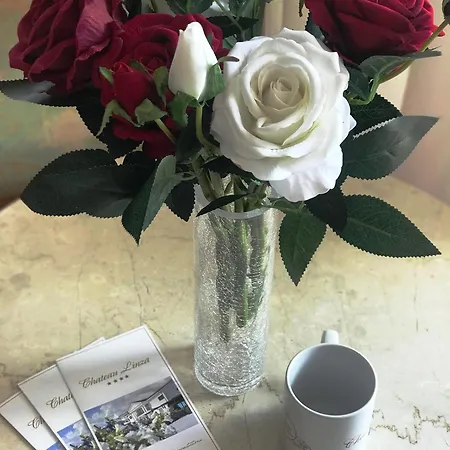 Hotel Chateau Linza 4*