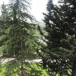 Chateau Linza Otel Shkoze (Tirana)